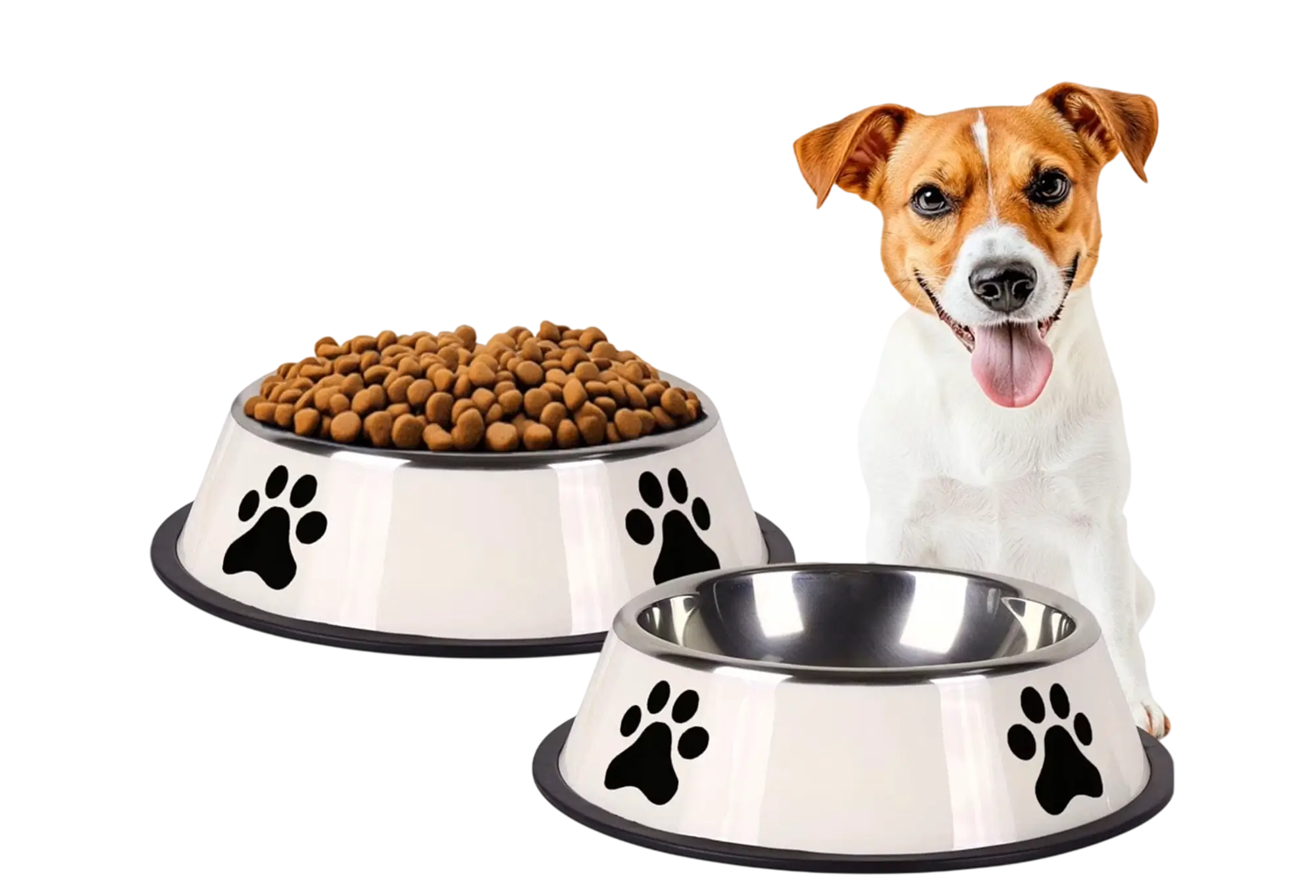 Stainless Dog Bowl